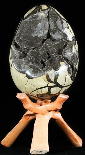 Masive, Septarian Dragon Egg Geode - Cyber Monday Deal! #50823